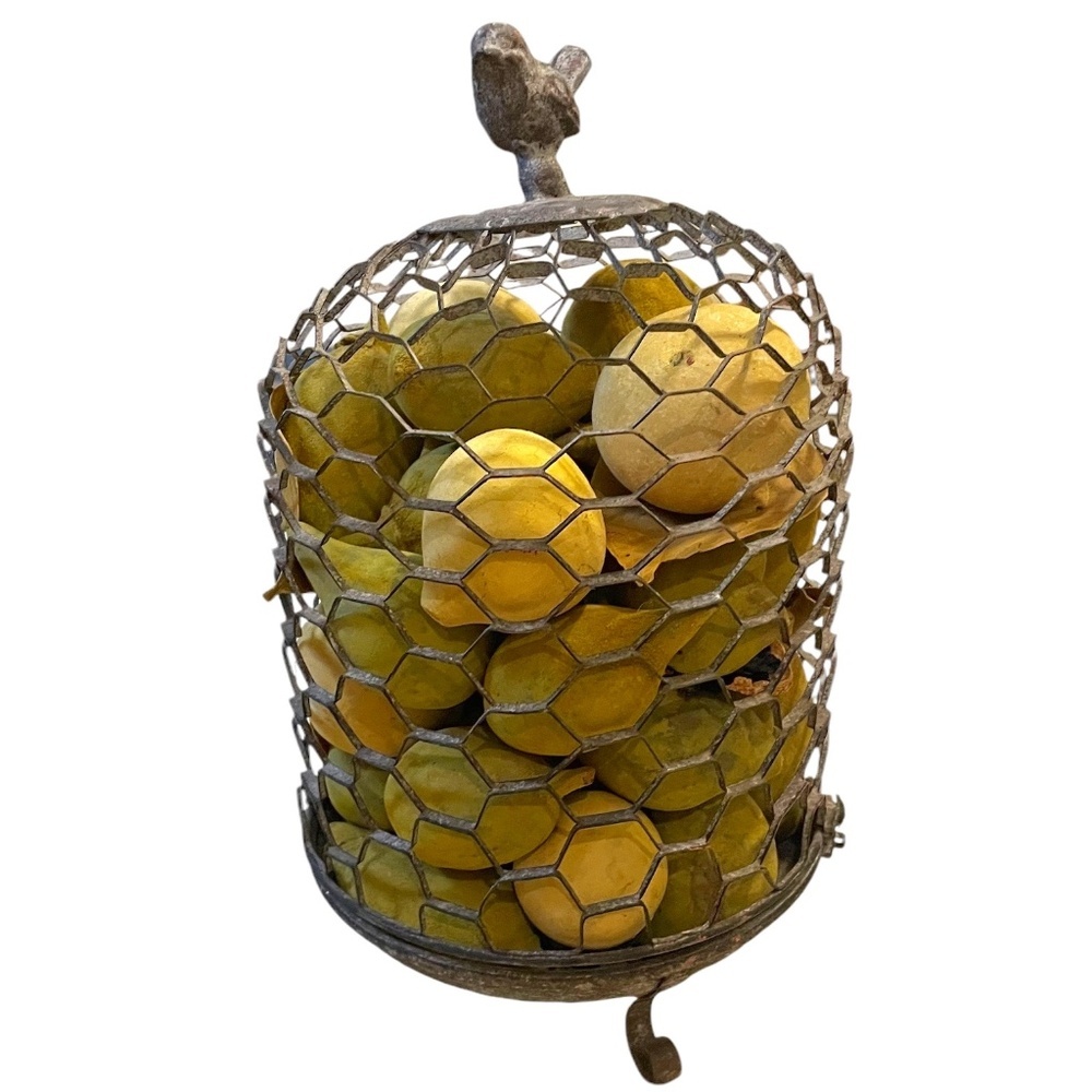 Vintage Chicken Wire‎ Decorative Bird Cage With Potpourri